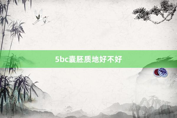 5bc囊胚质地好不好