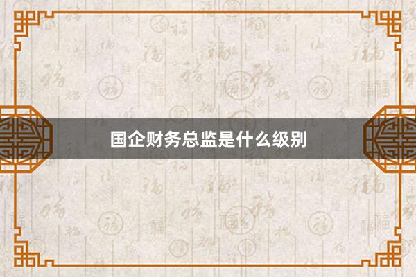 国企财务总监是什么级别