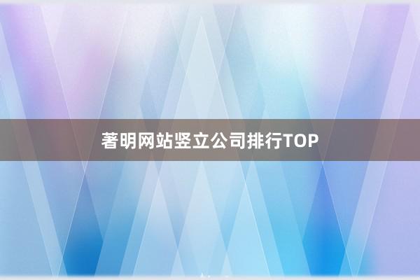著明网站竖立公司排行TOP